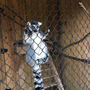 Meet your Posher, Katy